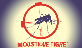 Lutter contre le moustique tigre