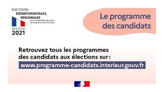 Élections départementales : consultez les programmes des candidats