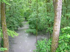 Stockage et ralentissement des eaux de crue en forêt alluviale