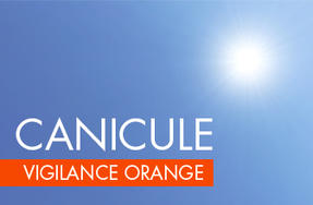 Activation du niveau 3 (alerte canicule vigilance orange) du plan canicule en Isère