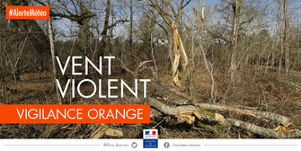 Alerte météo Vigilance orange pour vents violents sur le département de l’Isère